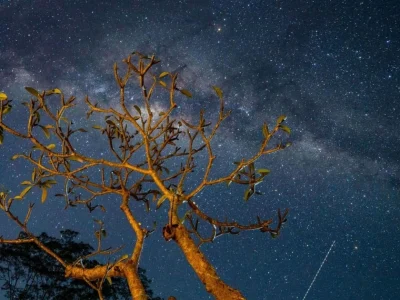 Fenomena langit pada Desember 2025 (Foto: Nyata/Iva)