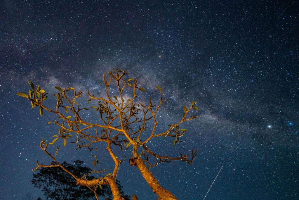 Salah satu hujan meteor yang dilihat di Ubud, Bali (Foto: Nyata/Iva)