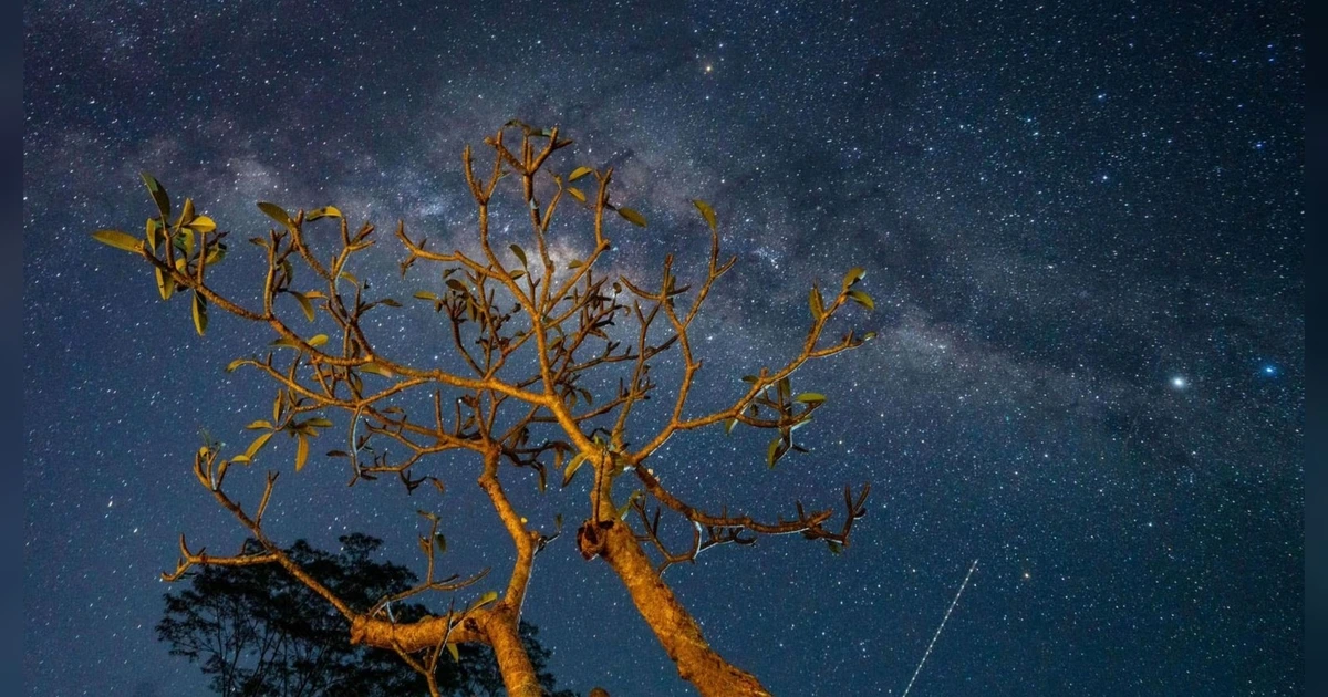 Siap Liat Supermoon dan Hujan Meteor, Ini Fenomena Langit di Desember 2025, Catat Tanggalnya!