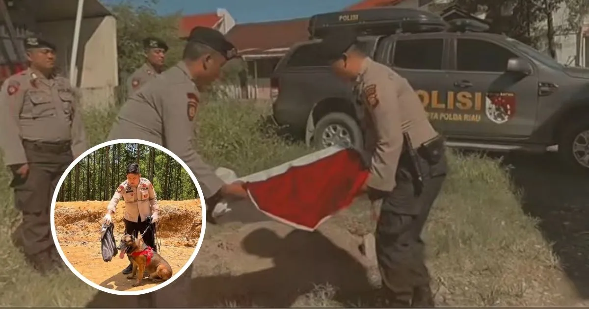 Kisah Reno, Anjing K9 Gugur saat Mencari Korban Longsor di Sumatera
